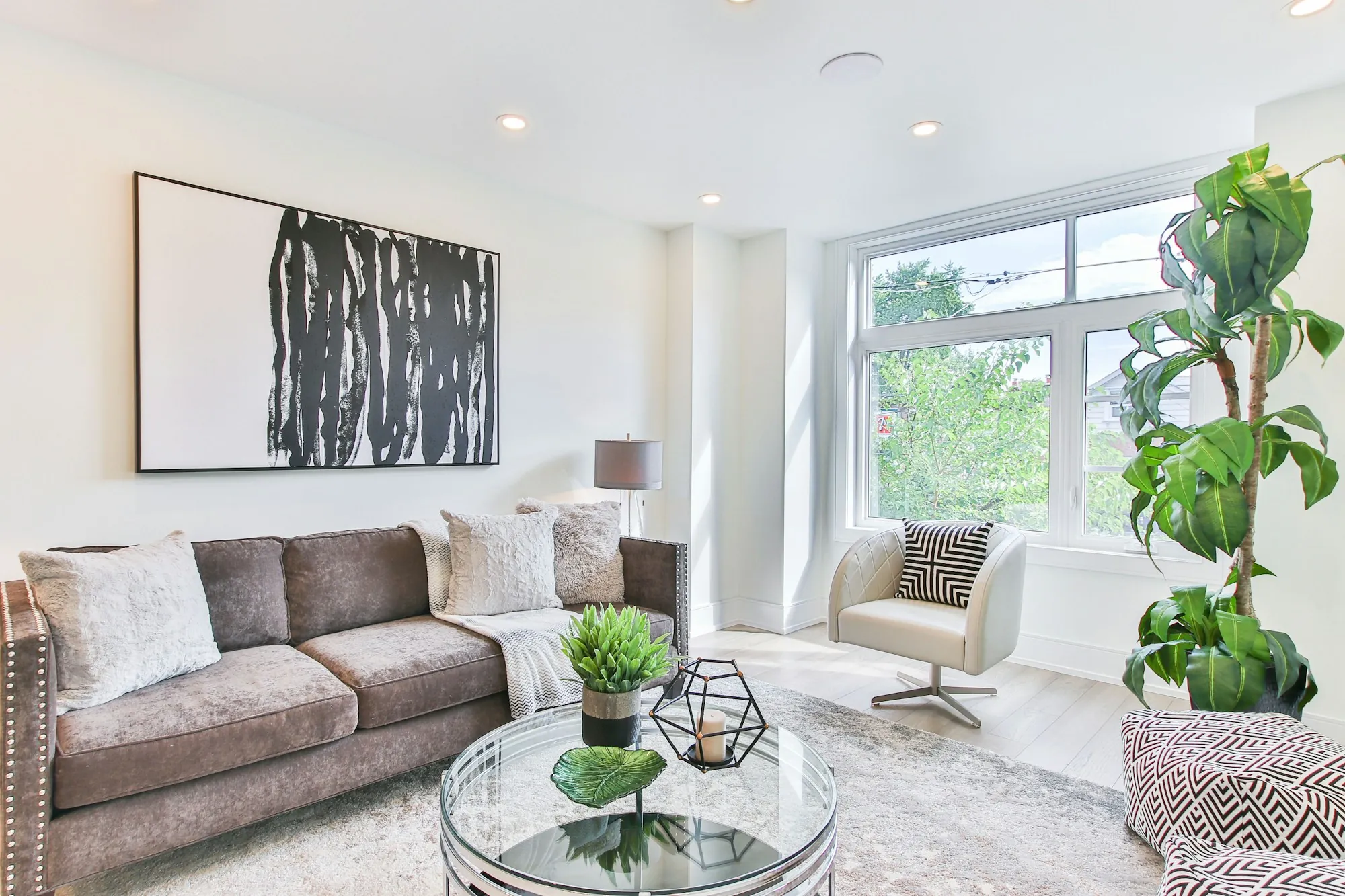 Bright living room with a gray sofa and a large potted plant