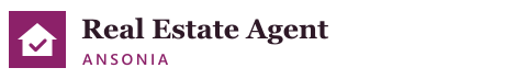 Real Estate Agent Ansonia logo